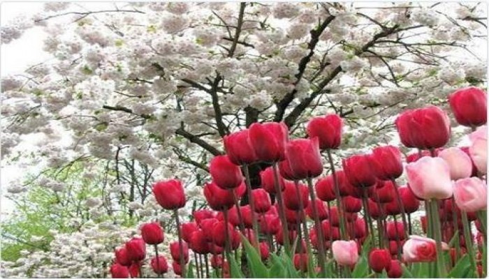 هيئة الأرصاد الجوية تعلن عن درجات الحرارة المتوقعة يوم الأحد