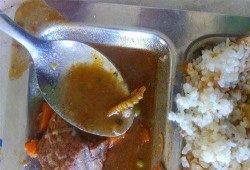 "دود" في طعام طلاب المدينة الجامعية بالإسكندرية