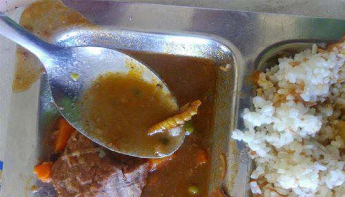 "دود" في طعام طلاب المدينة الجامعية بالإسكندرية