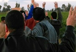 أحرار "بلقاس و منية النصر"  بالدقهلية ينظموا وقفتين ضد العسكر والخائن
