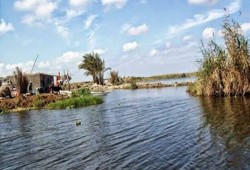 صيادو بحيرة المنزلة: "مافيا التعديات خربت بيوتنا"