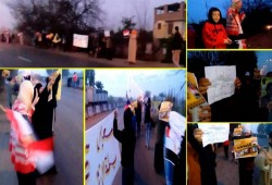 الدقهلية: للمرة الثانية ثوار "أجا" يخرجون بسلسلة بشرية حاشدة