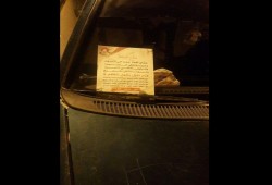 جداريات وبيانات لشباب طنطا في عشية الذكري السادسة لثورة يناير