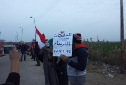 4 فعاليات صباحية لثوار البحيرة في ذكرى ثورة يناير