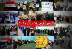 ثوار الدقهلية ينظمون 20 مظاهرة في ذكرى يناير السادسة