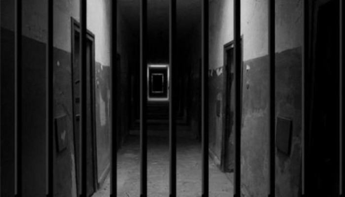 تعرف إلى أبرز "هزليات الشامخ" اليوم