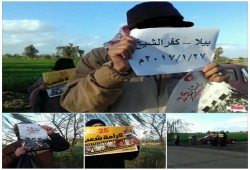 ثوار بيلا بكفر الشيخ ينظمون سلسلة بشرية على طريق بيلا الحامول