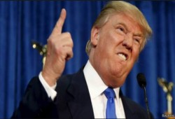 موقع إخباري أمريكي يكشف عن عدد المطرودين من أمريكا بعد تولي "ترامب"