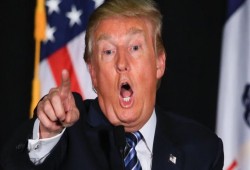 كاليفورنيا تطالب بالاستقلال عن أميركا.. بدء حملة لجمع التوقيعات