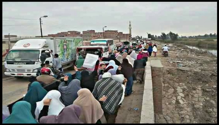 ثوار منيا القمح يحيون الذكرى السادسة لـ "جمعة الغضب"
