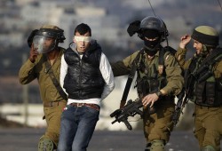 الاحتلال يعتقل 19 فلسطينيا ويستولي على منشآت