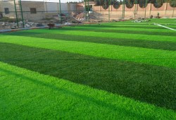 دراسة: التعرض للنجيل الصناعى يسبب السرطان