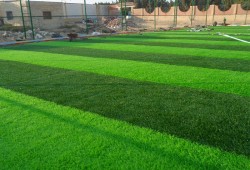 دراسة: التعرض للنجيل الصناعى يسبب السرطان