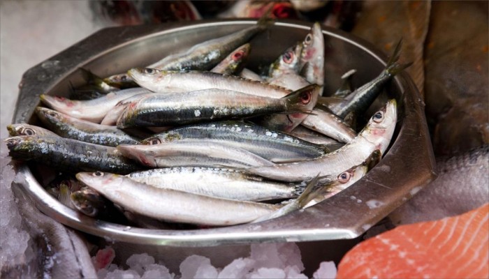 عشرة أخطاء شائعة مع الإصابة بالبرد