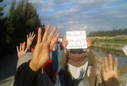 سلسلة بشرية لقرى الخريجين بالنوبارية ضمن فاعليات "يناير يجمعنا"