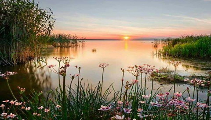 الأرصاد: اعتدال الأحوال الجوية وشبورة مائية على معظم الأنحاء حتى السبت