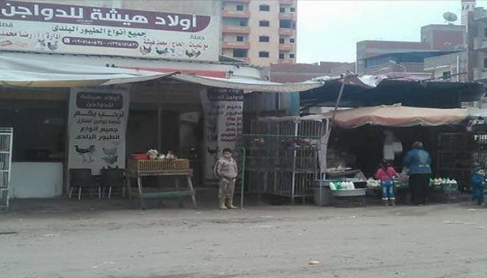 زيادة أسعار الدواجن بالبحيرة تجبر المواطن على عدم شرائها