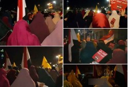 مسيرة قوية لثوار ديرب نجم بالشرقية في ختام تظاهرات يناير ثورة شعب