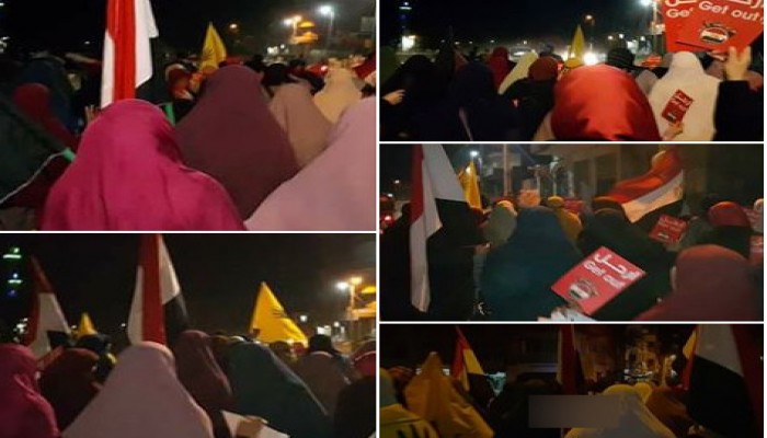 مسيرة قوية لثوار ديرب نجم بالشرقية في ختام تظاهرات يناير ثورة شعب