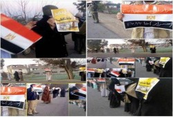 مظاهرات بالدقهلية ضمن اسبوع "السيسى قفرنا "