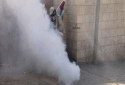 إصابة 14 فلسطينياً وجندي صهيوني في مواجهات "الجمعة"