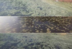 بقع رغوية مجهولة المصدر بنهر النيل تثير خوف المواطنين بالبحيرة