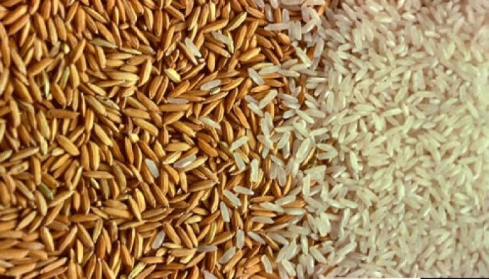 استمرار ارتفاع اسعار الارز خلال الشهر المقبل