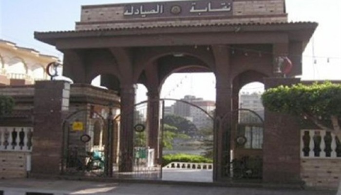 «صيادلة الدقهلية»: إغلاق كلي الأسبوع المقبل
