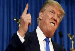 "الاستئناف الأمريكية" ترفض طلب ترامب بإعادة حظر سفر المسلمين