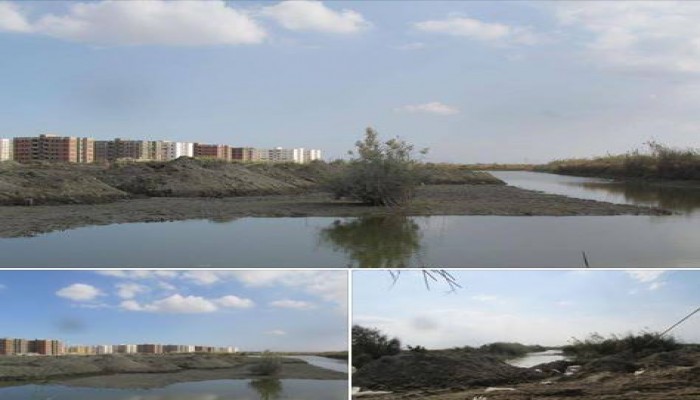 ردم بحيرة "قعر البحر" في المنزلة لصالح المشروع الامارتى