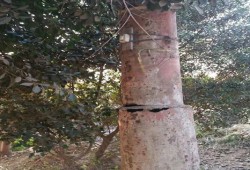 أعمدة الكهرباء بقرية "عثمان نتما " بالبحيرة تعرض حياة الأهالى للخطر