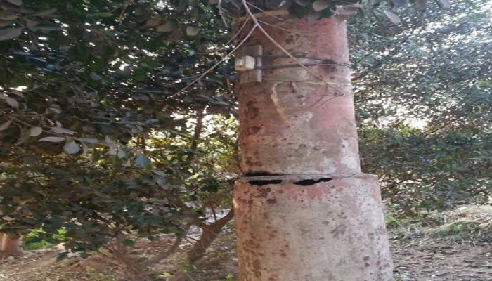 أعمدة الكهرباء بقرية "عثمان نتما " بالبحيرة تعرض حياة الأهالى للخطر