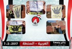 فعالية مناهضة للانقلاب لثوار السنطة بالغربية