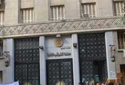 فقط في دولة الانقلاب : فئران تلتهم ملفات قيمتها "مليار" جنيه !