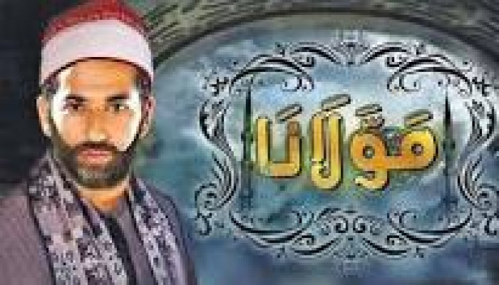 بالفيديو : مولانا فى خدمة السيسى فى حربه ضد الإسلاميين
