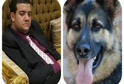 فيديوجرافك:رفع قضية قاضي الحشيش للتشكيك في الكلب البوليسي