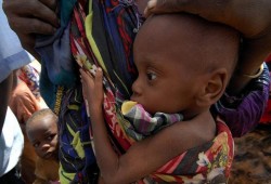 الفاو: 120 ألف نيجيري يواجهون المجاعة بسبب بوكو حرام