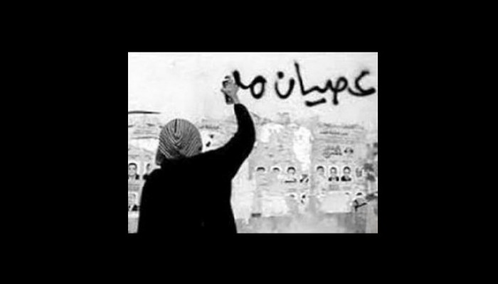 نشطاء: إضراب المحلة وإعلان سيناء يمهدان لعصيان مدني شامل بمصر