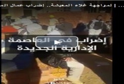 إضراب العاملين في فنكوش "العاصمة الإدارية الجديدة"