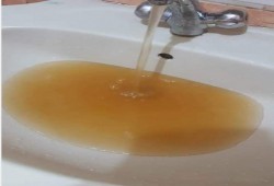 تلوث مياه الشرب بفوه ومطوبس