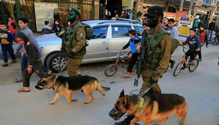 "كلاب حماس المقاتلة" تثير رعب جيش الاحتلال