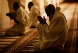 وذلك أروعُ اللقاء