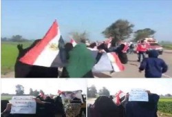 ثوار الدقهلية يواصلون التظاهر ضد الانقلاب