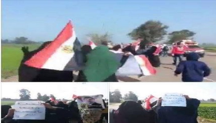 ثوار الدقهلية يواصلون التظاهر ضد الانقلاب