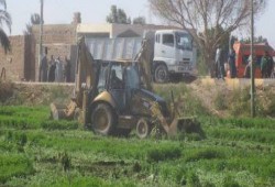 ارتفاع حالات التعدى على الأراضى الزاعية لـ 1.6 مليون حالة .. والبحيرة تحتل المركز الأول