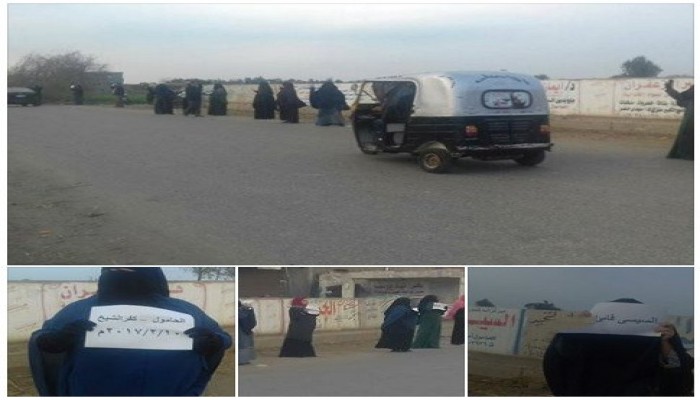 فعالية لثوار الحامول بكفر الشيخ تنديدا بالانقلاب العسكري