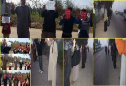 سلستين بشريتين لأحرار" أجا" للمطالبة برحيل السيسي