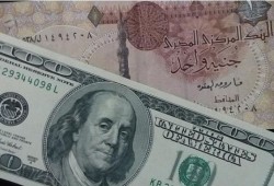 الوالي يتوقع استمرار ارتفاع اسعار الدولار بمصر