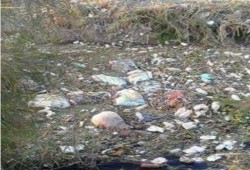 غضب بين الأهالي بعد تراكم الحيوانات النافقة والقمامة بترعة كدوة السويد بالبحيرة