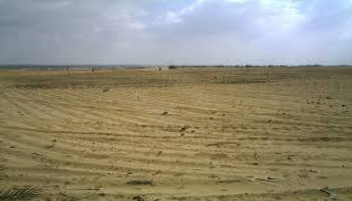 محافظ سابق للبحيرة: "أراضي وادي النطرون بالكامل تم توزيعها على رجال أعمال"